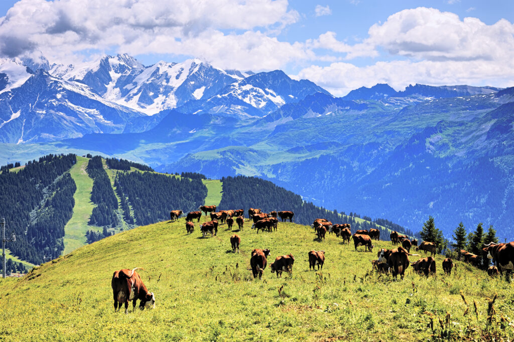 Alpes