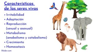 Seres