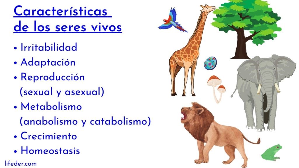 Seres